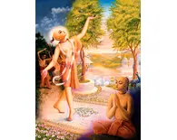 Nrsimhnanda Brahmacari's Jeweled Road for Lord Caitanya