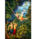 Krishna Enjoys Exultant Forest Pastimes