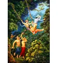 Krishna Enjoys Exultant Forest Pastimes