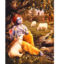 Lord Krishna Is Known As Govinda