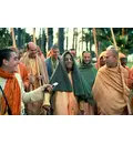 Prabhupada Says Something Funny on a Morning Walk