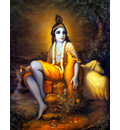 Gopala Krishna