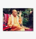 Srila Prabhupada in Detroit, Lecturing in Garden