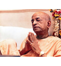 Srila Prabhupada in Vrindaban, Prayerful Mood