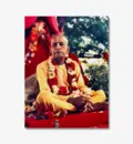 Srila Prabhupada at New Vrindaban, On Red Vyasasana