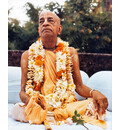 Srila Prabhupada in Bombay, Roof Darshan