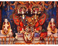 Sri Sri Gaura Nitai - Vrndavana, India