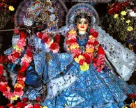 Sri Sri Radha Giridhari - New Varsana - Auckland, New Zealand