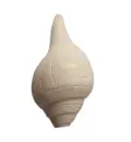 Large Blowing Conch Shell / Shankh 7.7\"+