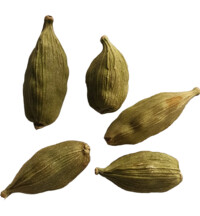 Cardamom -- Exotic Indian Spice