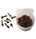 Cloves -- Exotic Indian Spice