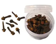 Cloves -- Exotic Indian Spice