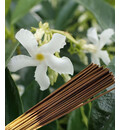 Jasmine Supreme Incense -- (225 gram pack)