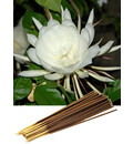 Night Queen Incense -- (225 gram pack)