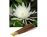 Night Queen Incense -- (225 gram pack)