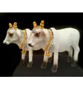 Standing Cows White 3\" size (Set of 2)