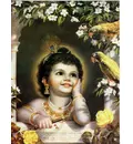 Krishna and Parrots Greeting Card Pack of 10