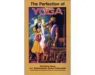 Case of 240 The Perfection of Yoga